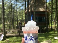 -洛阳白云山景区