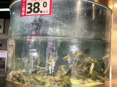 -蜀滋香鲜鱼美蛙火锅(339店)