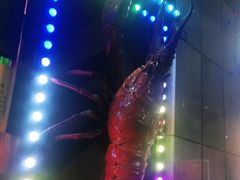 -红钳侠小龙虾·烧烤(中赢康康谷店)
