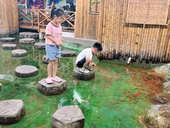 -上海昆虫博物馆