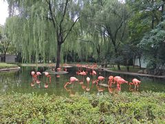 -石家庄市动物园