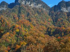 -光雾山旅游景区
