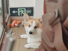 -肥朵食堂(带梦胡同店)