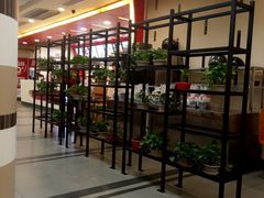 大堂-乡村基(南坪上海城店)