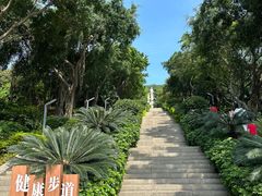 -青礁慈济宫