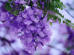 -北京市西城区德胜社区卫生服务中心