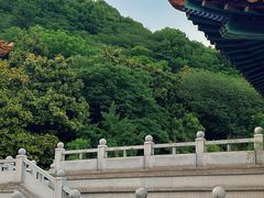 -临江·阅炉