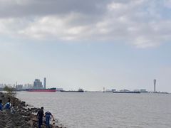 -上海滨江森林公园