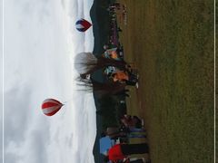 -中国香山·寿香谷