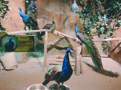 -zoonana室内动物园(东方福来德店)