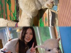 -常州海昌海洋探索馆