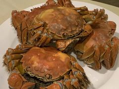 -王宝和酒家(黄浦店)
