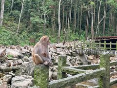 -姑婆山旅游区
