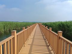 -白洋淀风景区