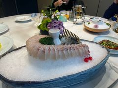 -鲐赏河豚(长寿店)