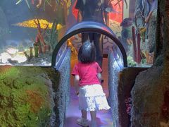 -沈阳海洋探索中心