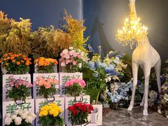 -狮拾久·现代新加坡料理(福田COCO Park店)