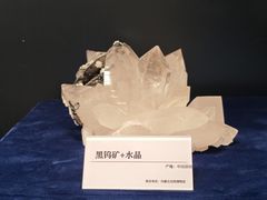 -国家自然博物馆