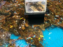 -盒马鲜生(皇庭广场店)