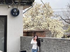 -自如ZSPACE四合院艺术餐厅
