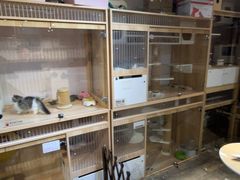 -爪爪喵星球·猫舍(卓悦中心店)