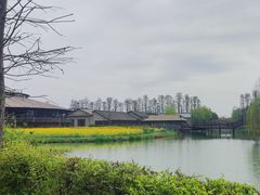 -乌村