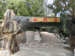 -野三坡百草畔景区