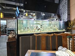 -常赢三兄弟·清真涮肉·清真炒菜(朝阳新城店)