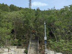 -白水寺森林公园
