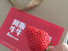 -阿斯牛牛·凉山菜(新会展店)