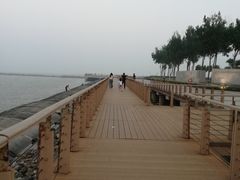 -东疆建设开发纪念公园