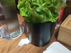 生菜-九田家黑牛烤肉料理(二天地店)
