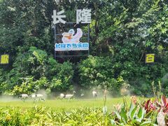 -广州长隆飞鸟乐园