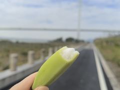 -芒洲湿地公园