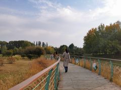-潇河湿地公园