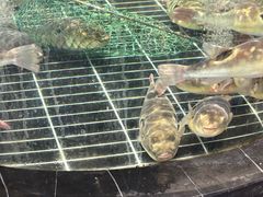 -蒋公馆家宴(江阴店)