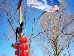 -野鸭湖国家湿地公园