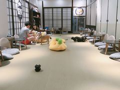 -逗柴咖啡屋·狗咖猫咖宠物桌游