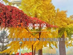 -桔子文创·企业团建·活动策划·拓展会议