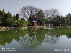 -蝴蝶泉公园