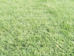 -金百万烤鸭店(马甸店)