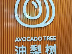 -油梨树 AVOCADO TREE(亮马桥店)