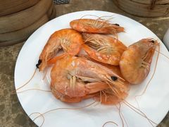 -银帆宾馆-自助餐厅(金马路店)