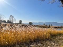 -野鸭湖国家湿地公园