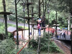 -梦幻奥陶纪景区