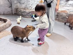 -Zoolung Zoolung动物主题公园(海信广场店)