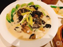-莲苑中餐厅·Lotus Court(厦门马哥孛罗东方大酒店)