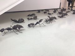 -四川美术学院美术馆