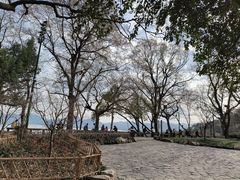 -宝石山