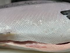 -新一番三文鱼寿司(大东海店)